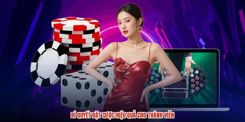Bí quyết đặt cược hiệu quả cho thành viên