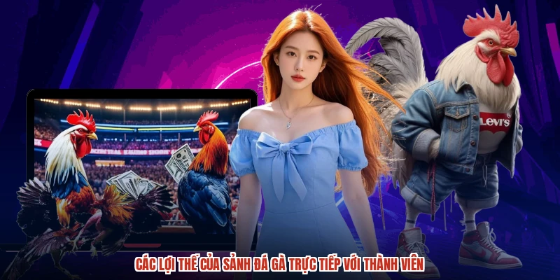 Các lợi thế của sảnh đá gà trực tiếp với thành viên
