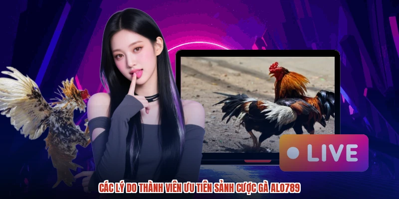 Các lý do thành viên ưu tiên sảnh cược gà ALO789