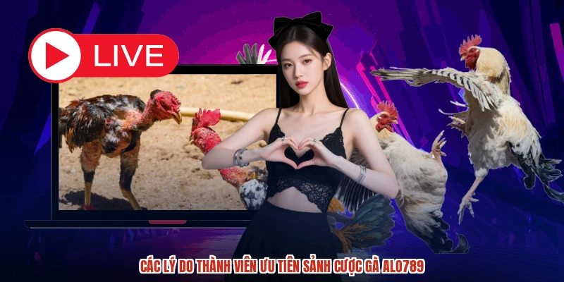 Các lý do thành viên ưu tiên sảnh cược gà ALO789