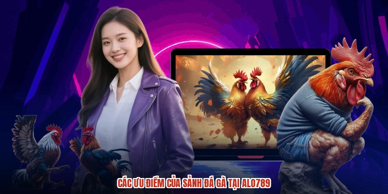 Các ưu điểm của sảnh đá gà tại ALO789