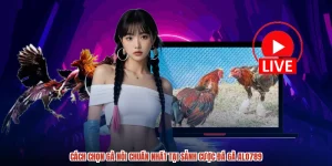 Cách Chọn Gà Nòi Chuẩn Nhất Tại Sảnh Cược Đá Gà ALO789
