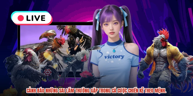 Cảnh báo những sai lầm thường gặp trong cá cược chiến kê theo mệnh.
