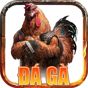 đá gà