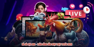 Đá Gà Cựa Dao - Toàn Cảnh Sân Cược Trực Tuyến 2026