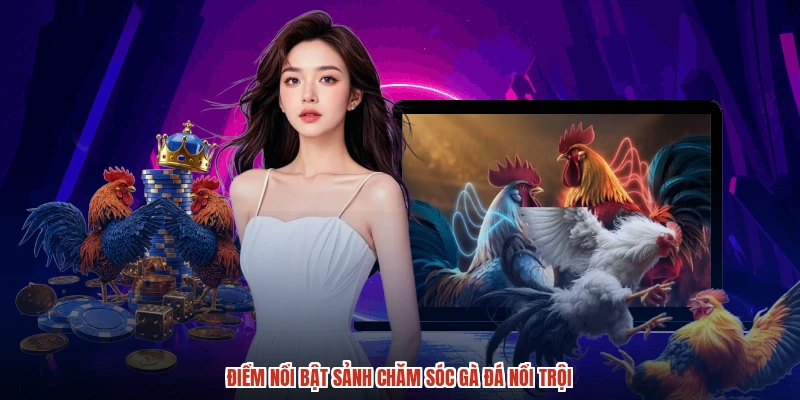 Điểm nổi bật sảnh chăm sóc gà đá nổi trội