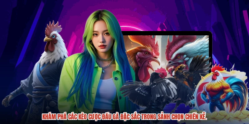 Khám phá các kèo cược đấu gà đặc sắc trong sảnh chọn chiến kê.