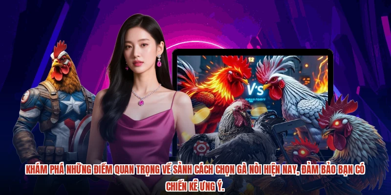 Khám phá những điểm quan trọng về sảnh cách chọn gà nòi hiện nay, đảm bảo bạn có chiến kê ưng ý.