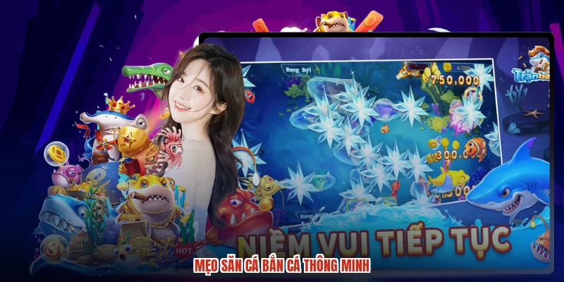 Mẹo săn cá bắn cá thông minh