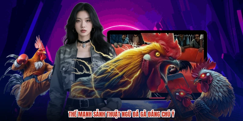 Thế mạnh sảnh thuật ngữ đá gà đáng chú ý