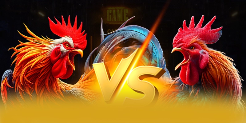 Trải nghiệm trên điện thoại di động cùng BET168