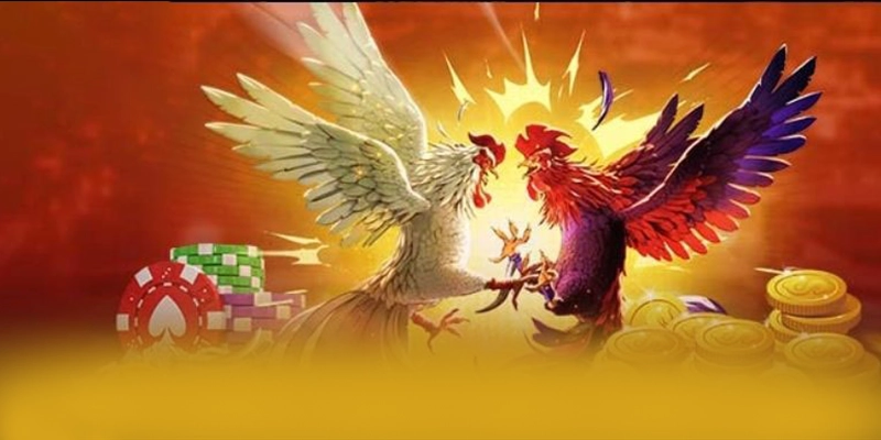 8xbet - Sảnh game đẳng cấp số 1 Việt Nam